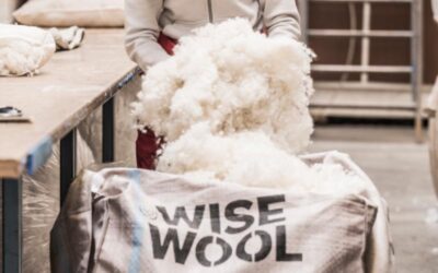 Putting wool on the map (and the Calendar)